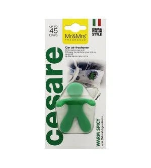 Mr&Mrs Fragrance Cesare Warm Spicy vůně do auta zelená