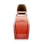 All Of Me Intense plnitelný parfémovaná voda pro ženy 90 ml