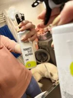 Natasha Citronový čistič koupelen - sprej (500 ml) - vhodný do domácností s tvrdou vodou