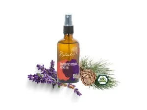 Natasha Osvěžovač vzduchu - Sladké sny (100 ml) - zklidní a připraví na spánek