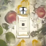 Nectarine Blossom & Honey kolínská voda unisex 100 ml