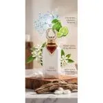 Noble Cedar parfémový extrakt unisex 100 ml