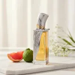 Obsidian parfémový extrakt unisex 100 ml