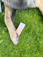 Officina Naturae Opalovací krém na obličej SPF 50 - zpevňující (30 ml) - pro všechny druhy pleti