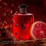 Polo Red toaletní voda pro muže 125 ml