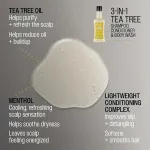 3-in-1 Tea Tree Shampoo-Conditioner-Body Wash šampon pro muže 3v1 pro muže 350 ml