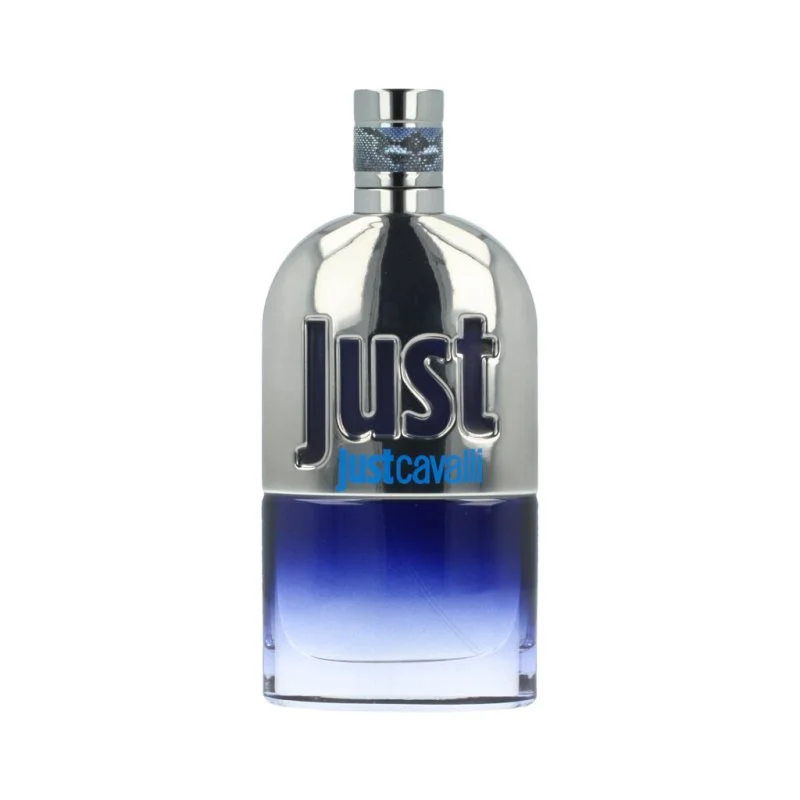 Just Cavalli Him 2013 toaletní voda pro muže 90 ml