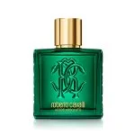 Uomo Verde Assoluto parfémovaná voda pro muže 100 ml