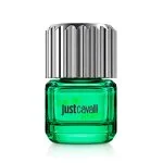 Just Cavalli Give Me Magic for Him toaletní voda pro muže 30 ml