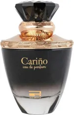 Carino Pour Homme parfémovaná voda pro muže 100 ml