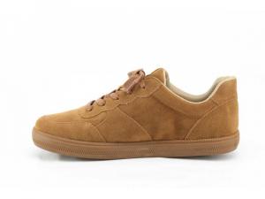 Perky Rustic Camel