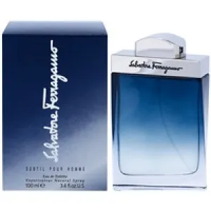 Salvatore Ferragamo Subtil Pour Homme toaletní voda pro muže 100 ml