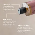 Urtekram Šampon Divoká růže 500ml BIO