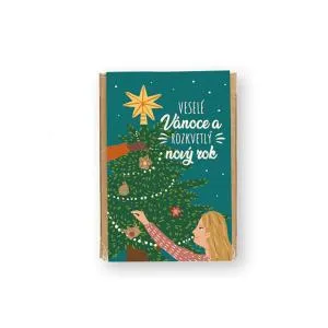 Blossombs Semínkové bomby - Dárková sada mini - Kouzelné Vánoce (4 ks)