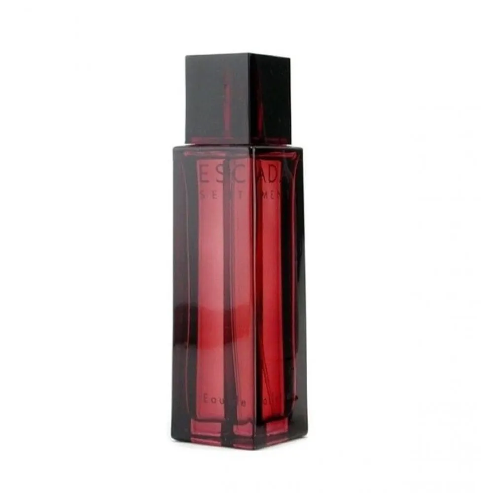 Sentiment pour Homme toaletní voda pro muže 100 ml
