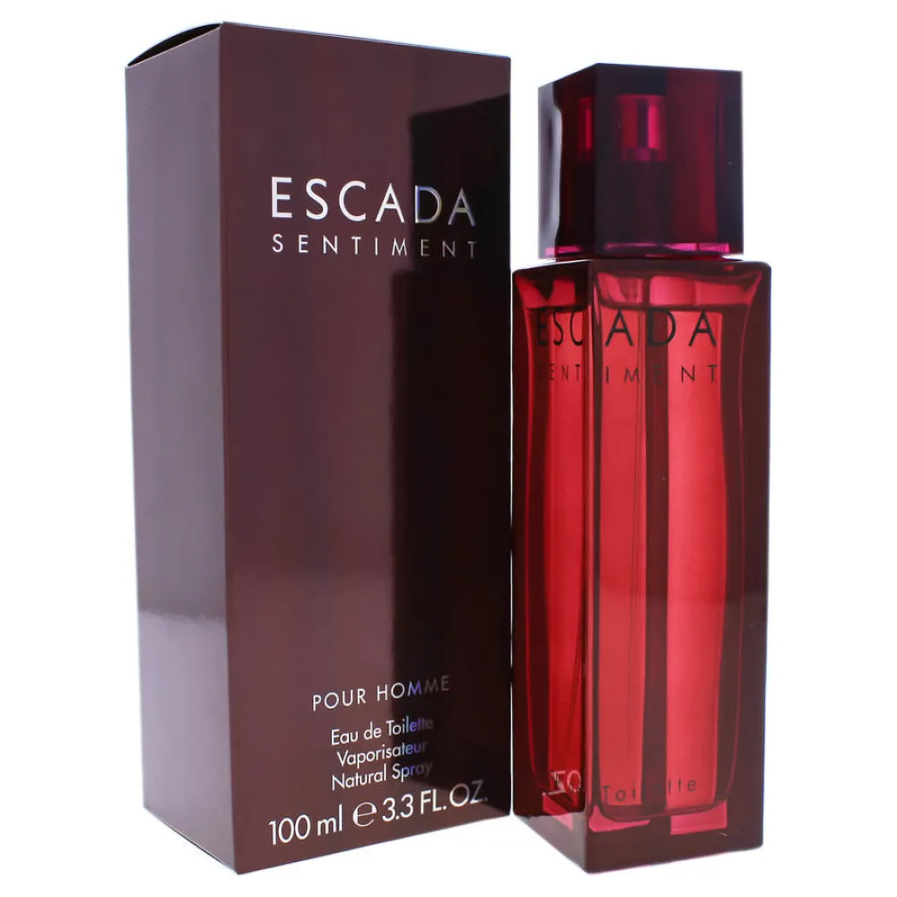 Sentiment pour Homme toaletní voda pro muže 100 ml