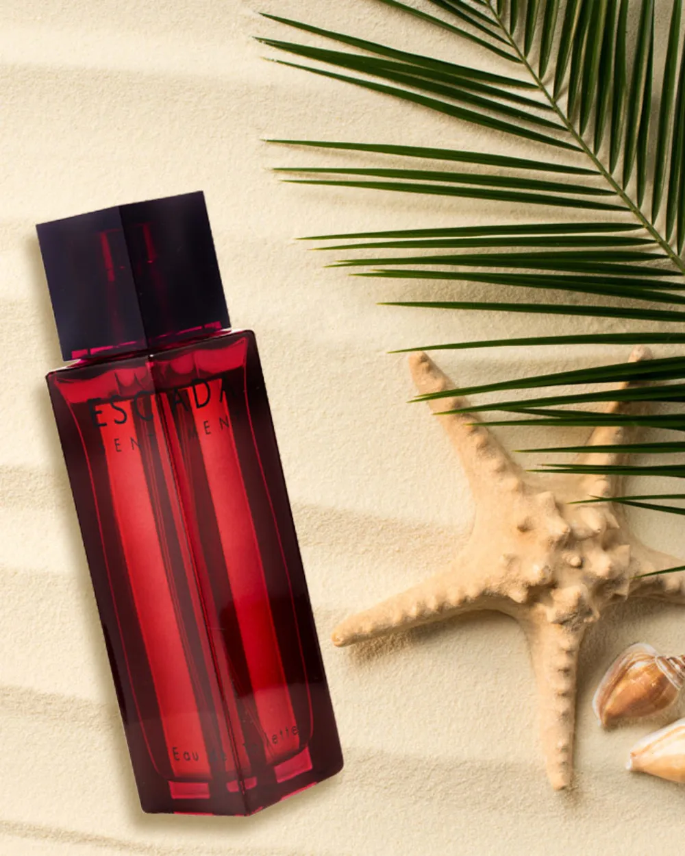 Sentiment pour Homme toaletní voda pro muže 100 ml