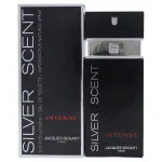 Silver Scent Intense toaletní voda pro muže 100 ml