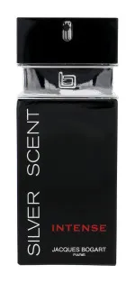 Silver Scent Intense toaletní voda pro muže 100 ml