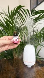 Taoasis Baldini Aroma set All the Love BIO (5 ml) - harmonizující vůně s kamenným difuzérem