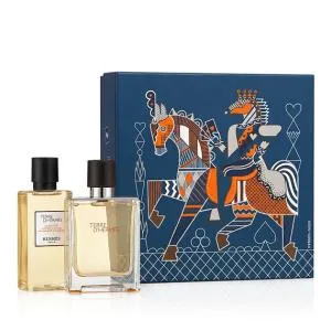 Hermès Terre D'Hermès 50 ml + SG toaletní voda pro muže