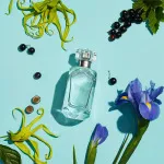 Tiffany Sheer toaletní voda 75 ml pro ženy