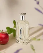 Tommy toaletní voda 100 ml pro muže