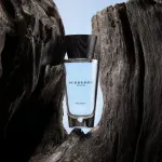 Touch for Men toaletní voda pro muže 100 ml