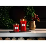 Crimson Berries vonná svíčka s dřevěným knotem 609,5 g