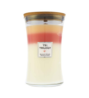 WoodWick Trilogy Blooming Orchard vonná svíčka s dřevěným knotem pro muže