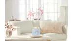 Clean Cotton signature svíčka střední 368 g