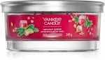 Holiday Cheer signature tumbler 5 knotů 340 g