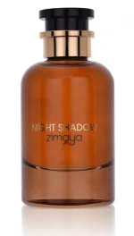 Night Shadow parfémovaná voda unisex 100 ml