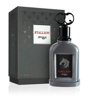 Zimaya Stallion parfémovaná voda pro muže 100 ml