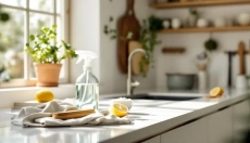 Antibakteriální čisticí prostředky nejsou nutné vždy, protože běžný úklid bývá účinnější