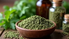 Jak na správné užívání semínek kopřivy pro vaše zdraví