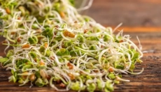 Zjistěte, jak klíčky zlepšují zdraví a vitalitu