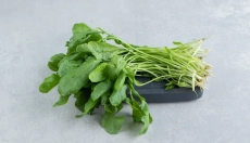 Objevte zázračné účinky lichořeřišnice na lidské zdraví