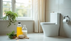 Močový kámen z WC je problém, který můžete snadno vyřešit