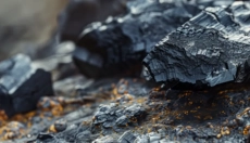 Objevte sílu mumia pro zdraví a regeneraci